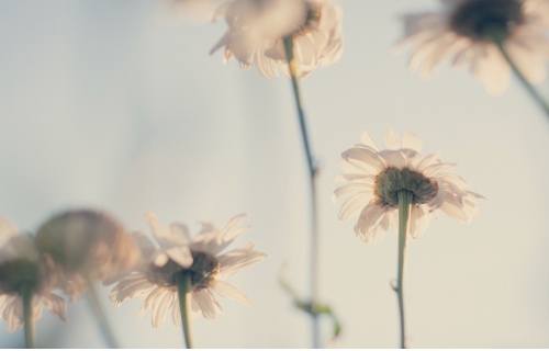 就在那一瞬间，他绝不犹豫做出了决议